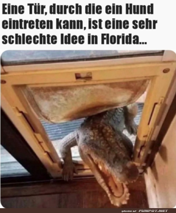 Schlechte Idee