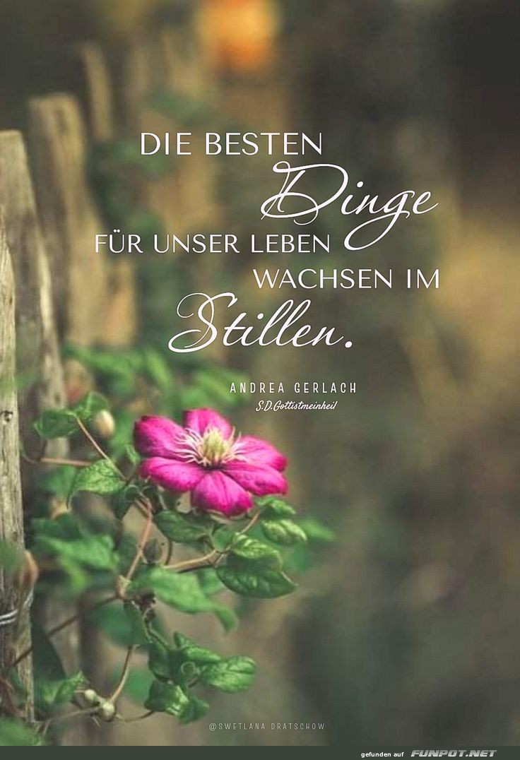 herziger Spruch 'Die besten Dinge'