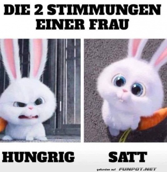 Zwei Stimmungen