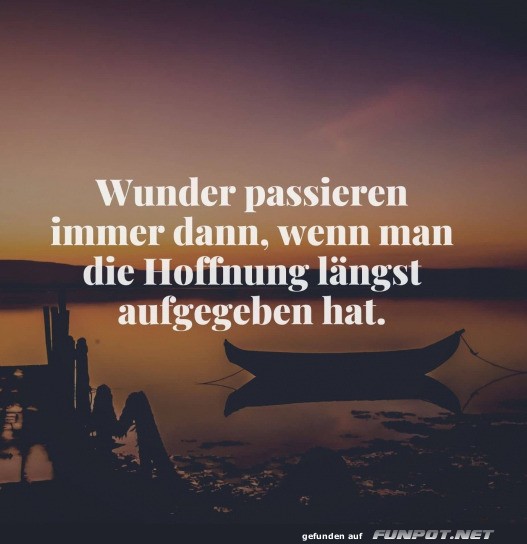 Wunder