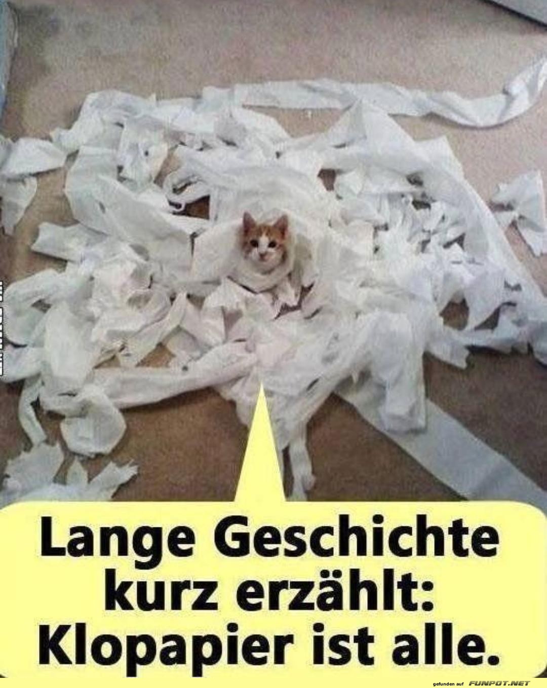 Lange Geschichte