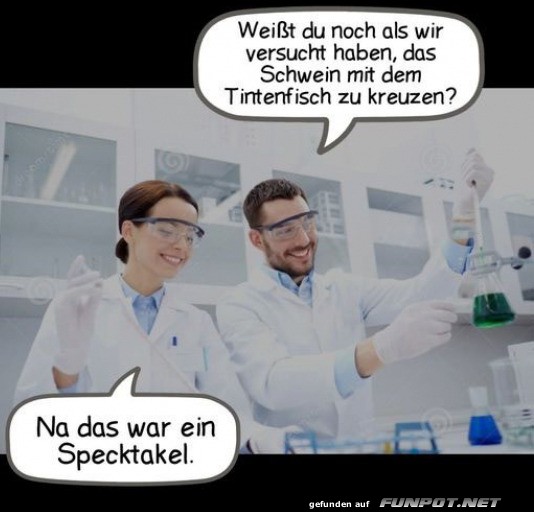 Ein Specktakel