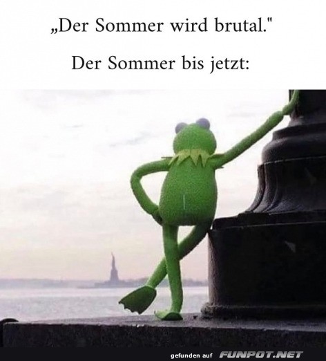 Brutaler Sommer