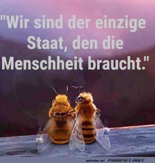 Der einzige Staat