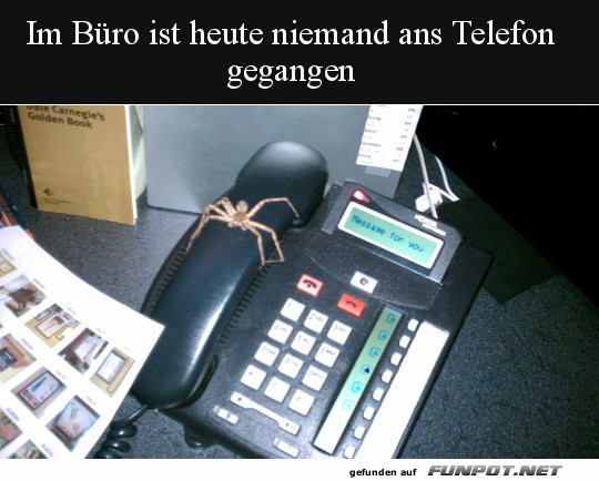 Keiner geht ans Telefon