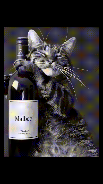 Katze mit Wein