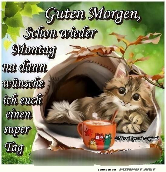 Guten Morgen