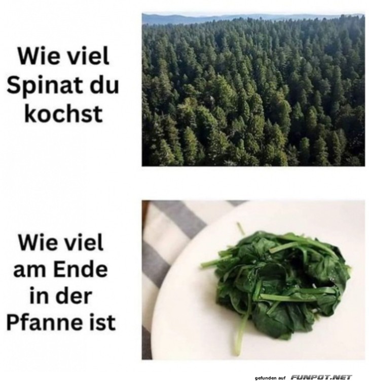 witzige Bilder aus verschiedenen Blogs