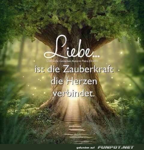 Liebe ist die Zauberkraft