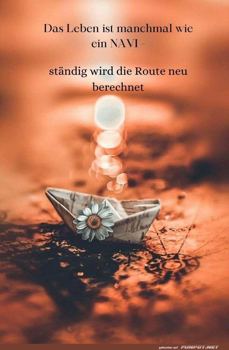 Das Leben ist manchmal ein Navi