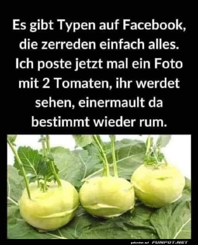 Foto mit zwei Tomaten