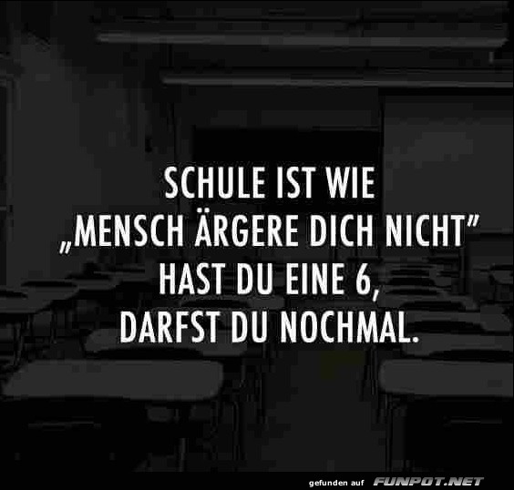 Schule