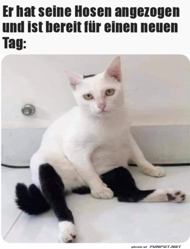 die Hose ist an