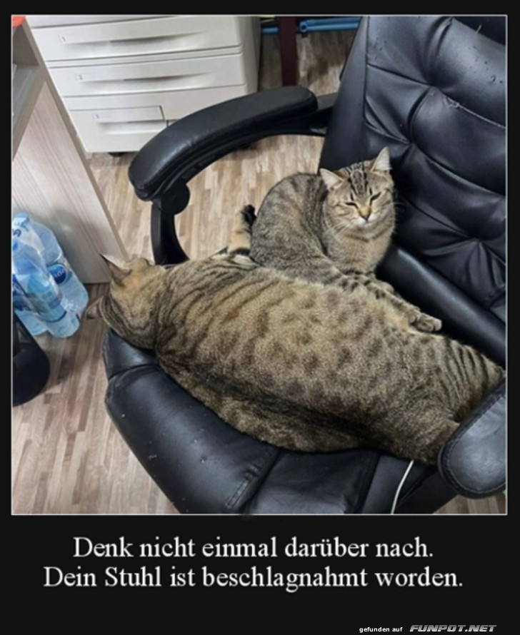 witzige Bilder aus verschiedenen Blogs