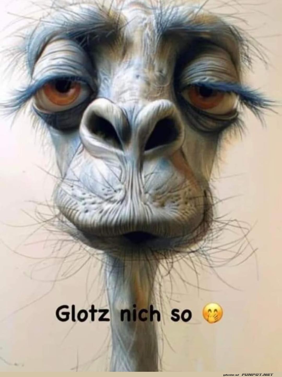 Glotz nicht so