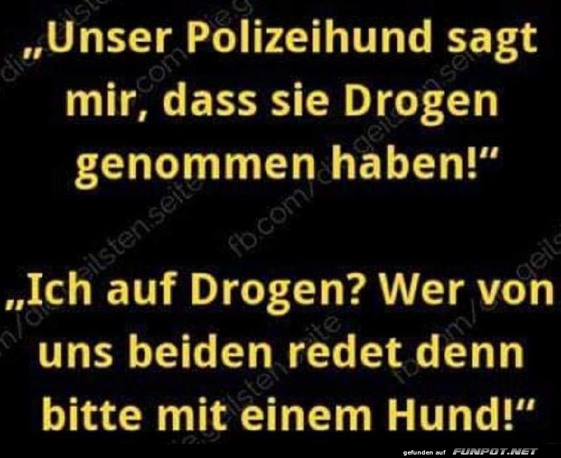 Lustige Antwort