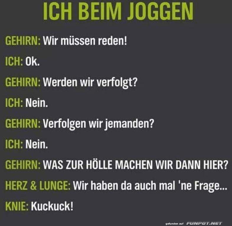 Fragen ber Fragen