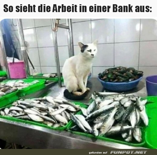 Wie die Arbeit bei der Bank