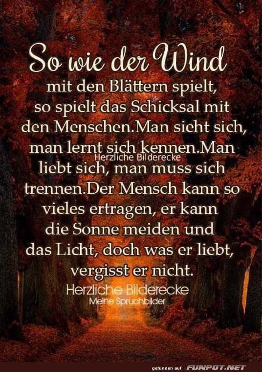 So wie der Wind