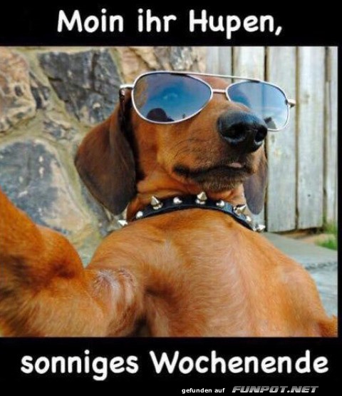 Sonniges Wochenende