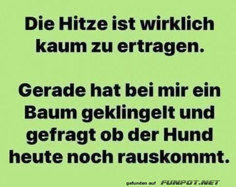 Diese Hitze