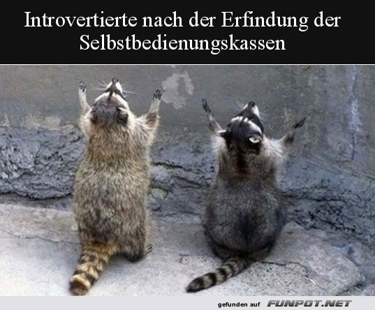 Introvertierte Introvertierte
