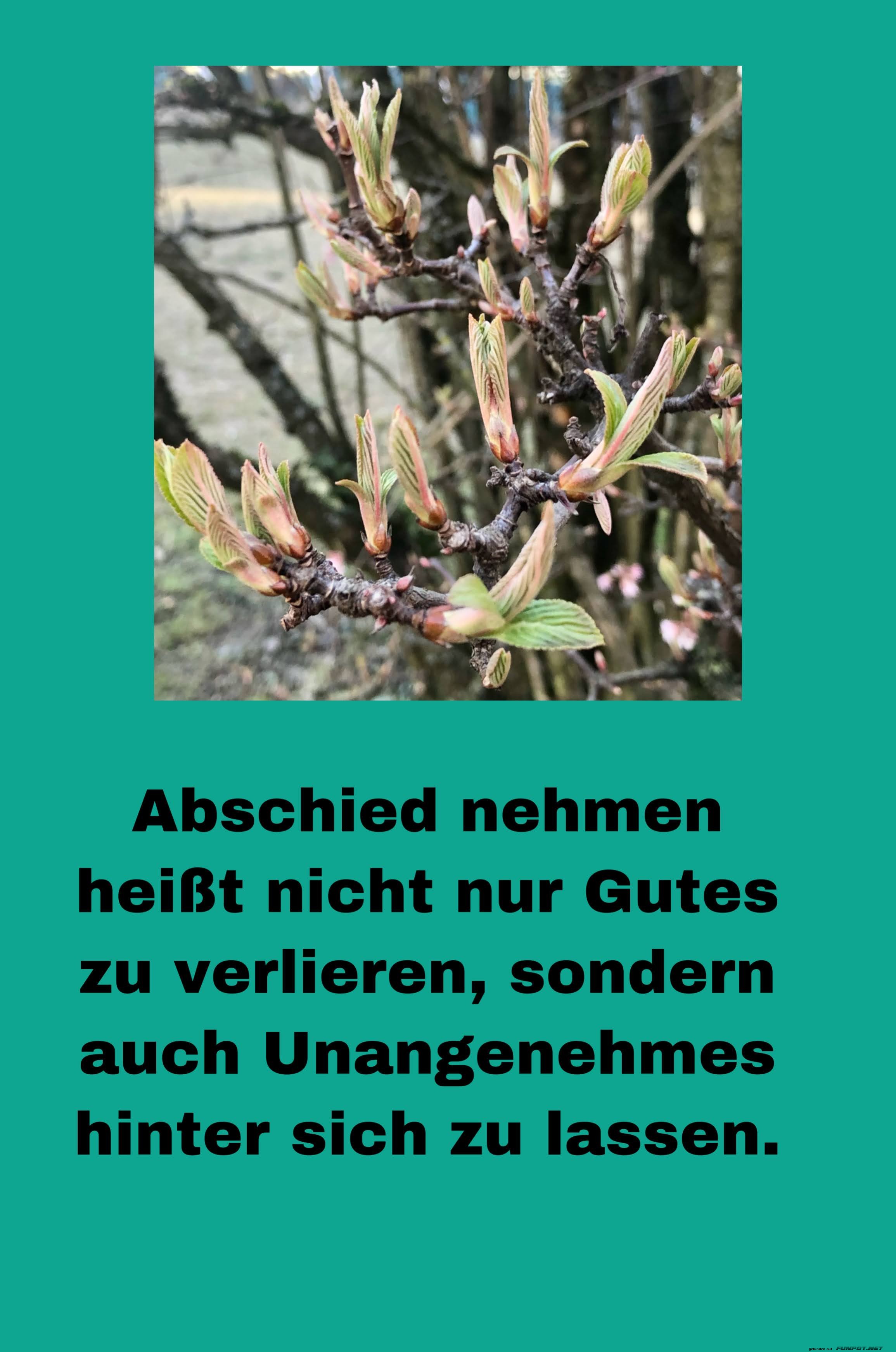 Abschied nehmen