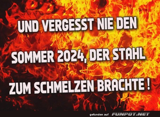 Der Sommer 2024