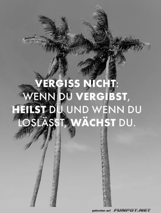 Vergiss nicht