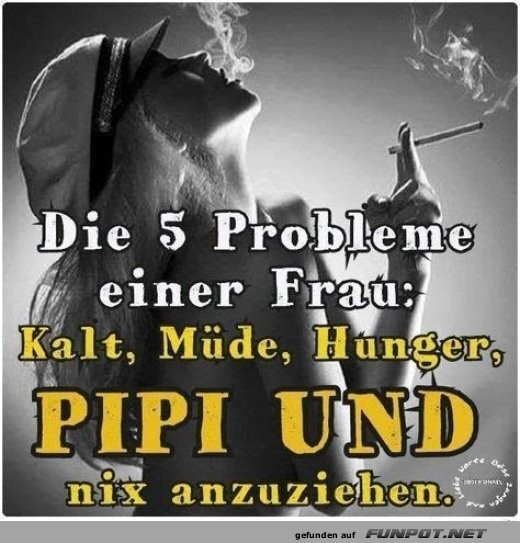 Die 5 Probleme