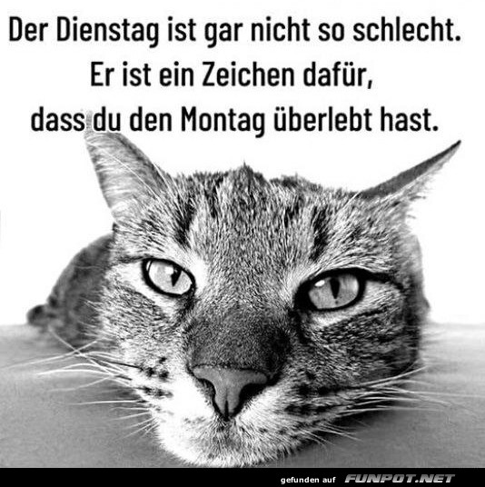 Dienstag