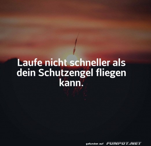 Guter Tipp