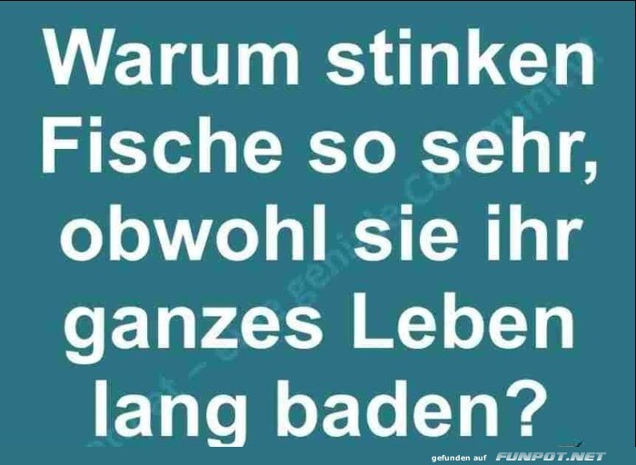 Warum stinken Fische