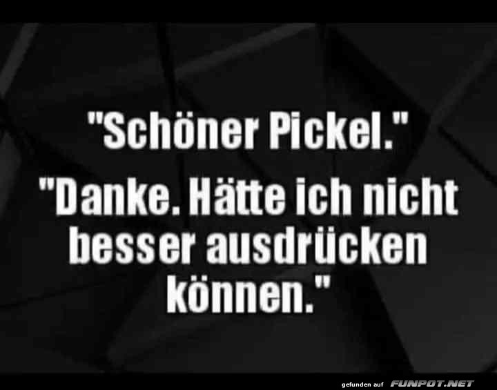 Schner Pickel