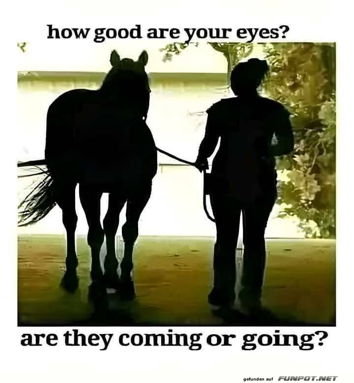 Wie gut sind deine Augen?