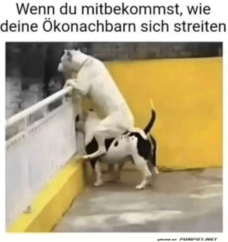 Wenn die Nachbarn streiten