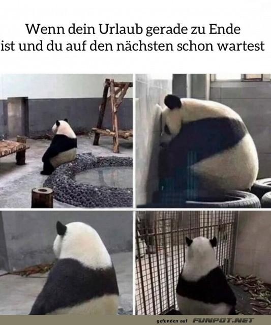 Brauche wieder Urlaub