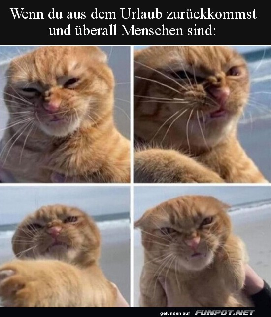 berall Menschen