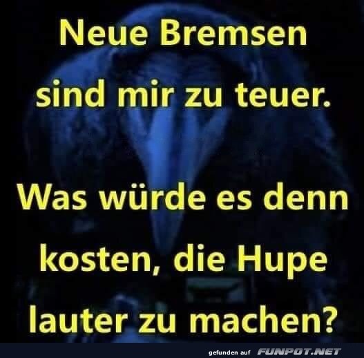 Neue Bremsen