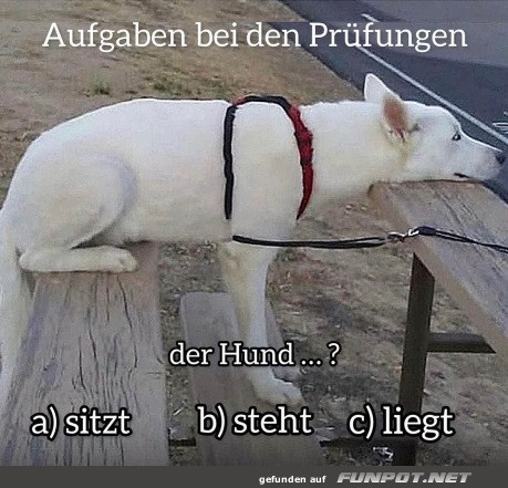 Aufgaben in Prfungen