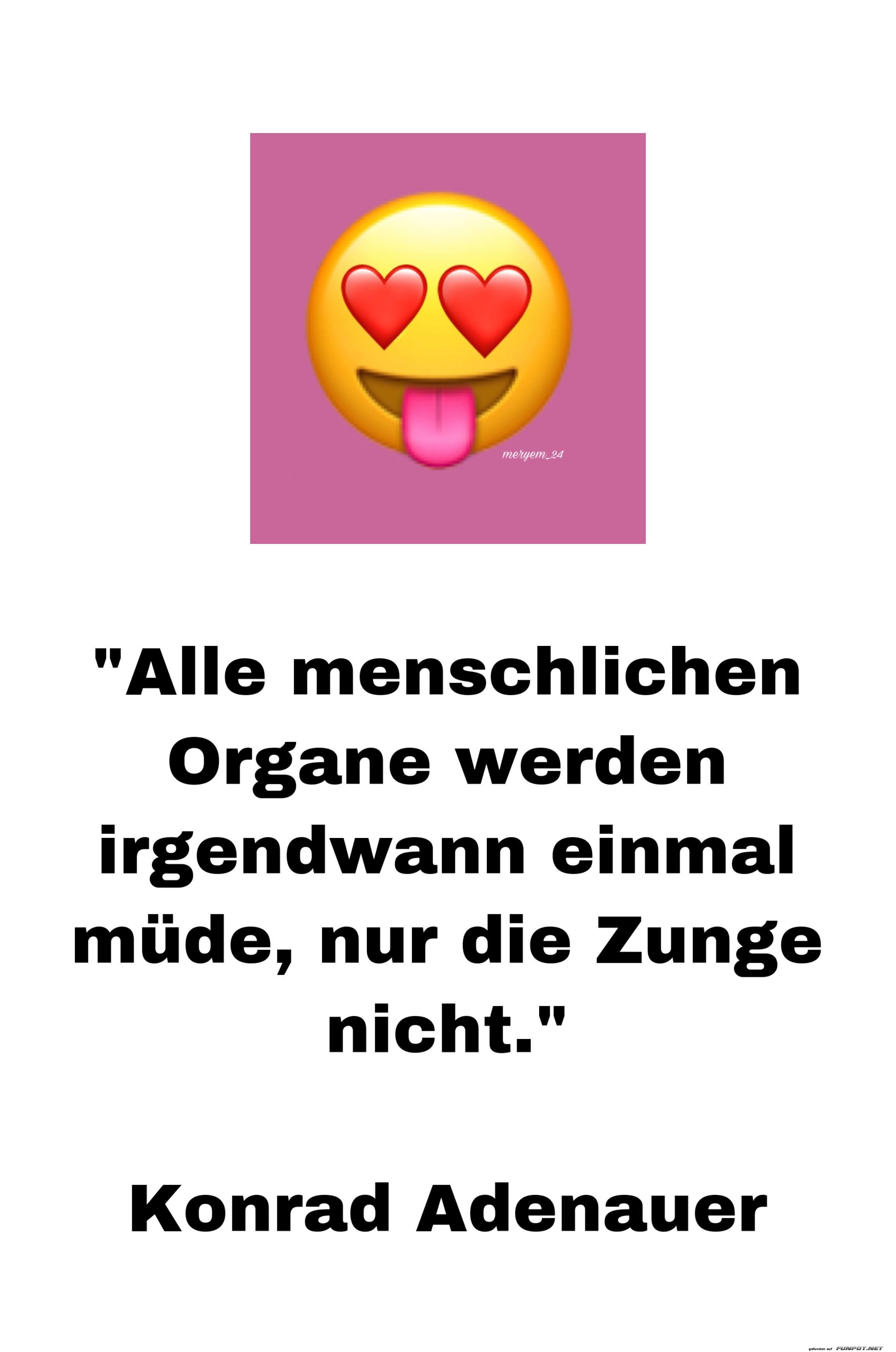 Alle menschlichen Organe