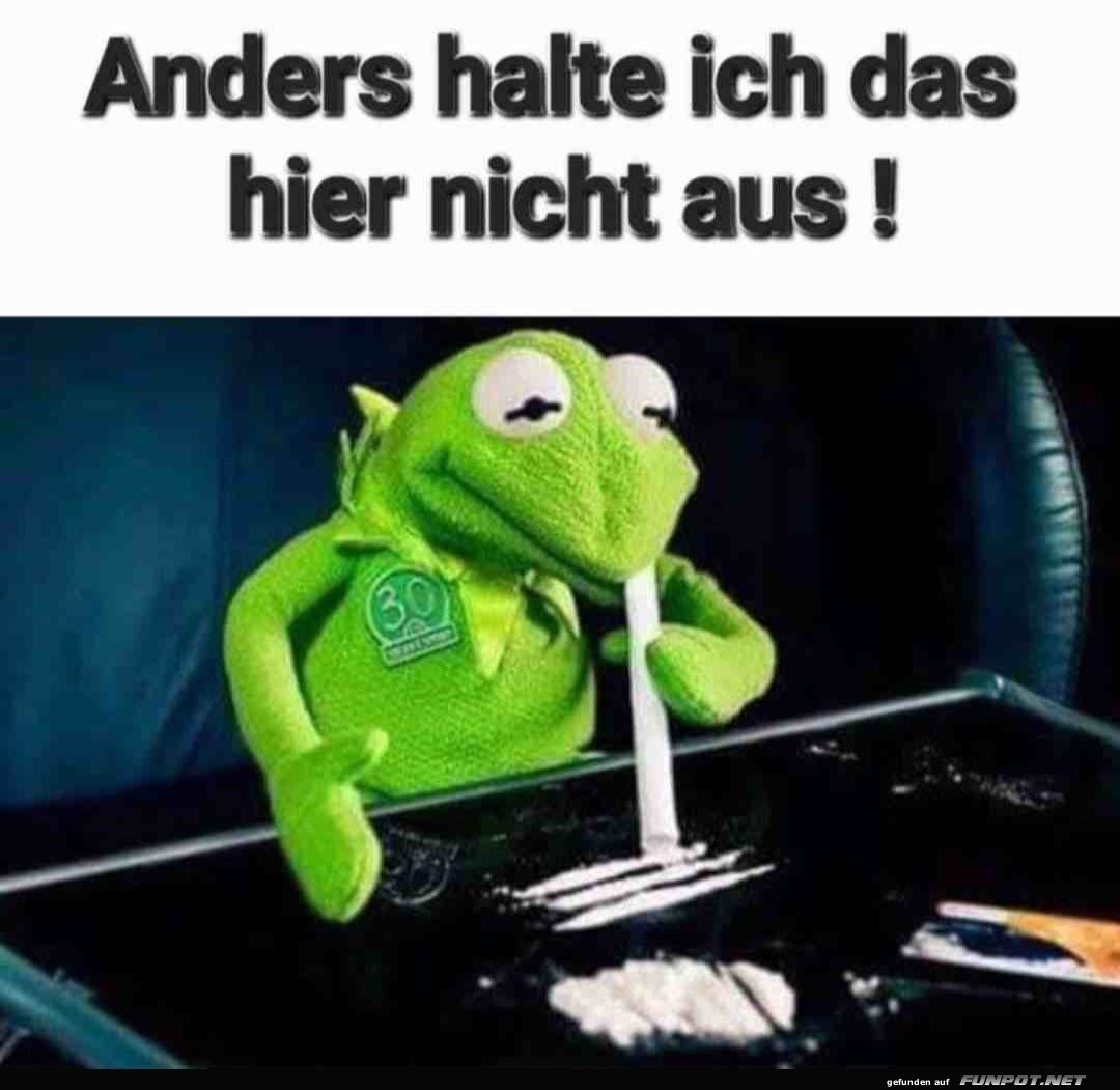 Anders ist es nicht auszuhalten 