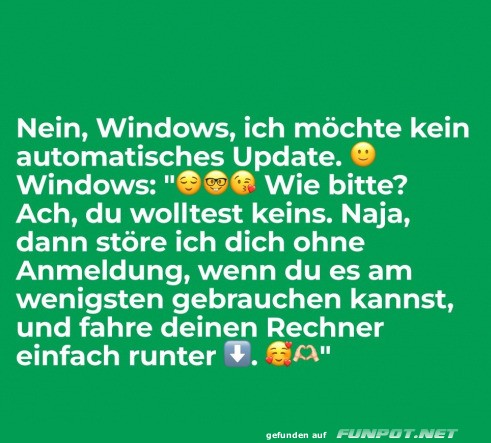 Nein Windows