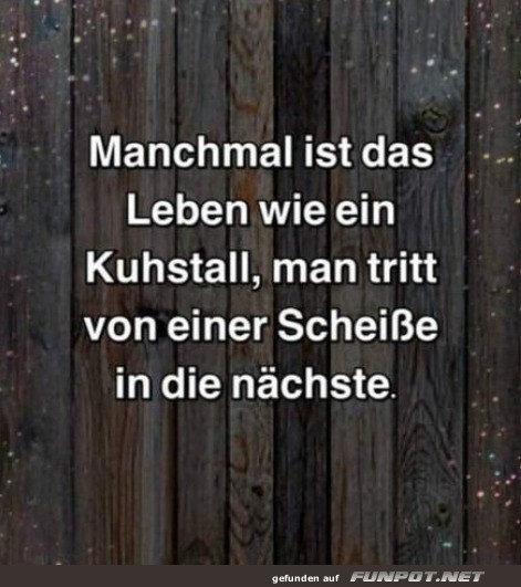 Manchmal