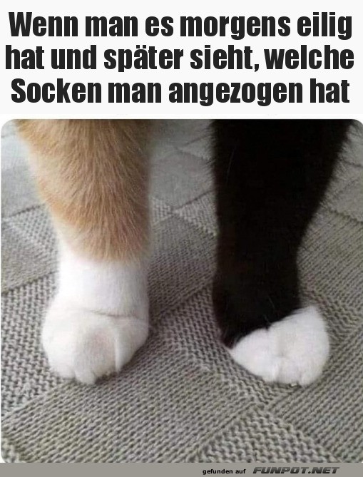 Unterschiedliche Socken