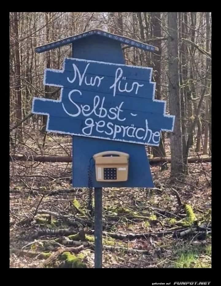 Selbstgesprche