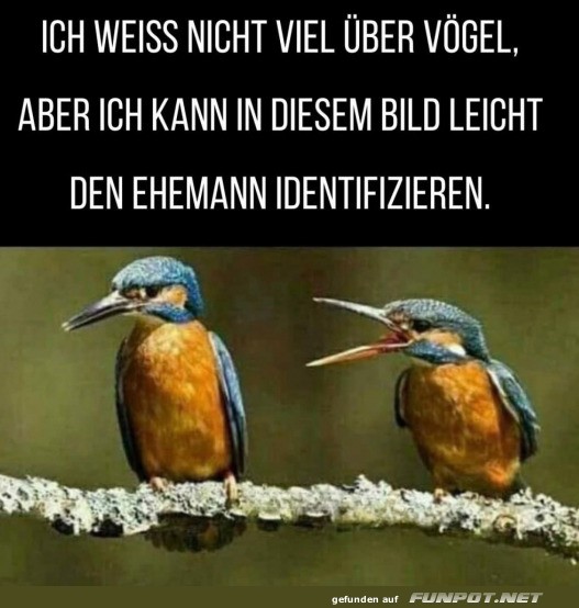 Leicht zu identifizieren