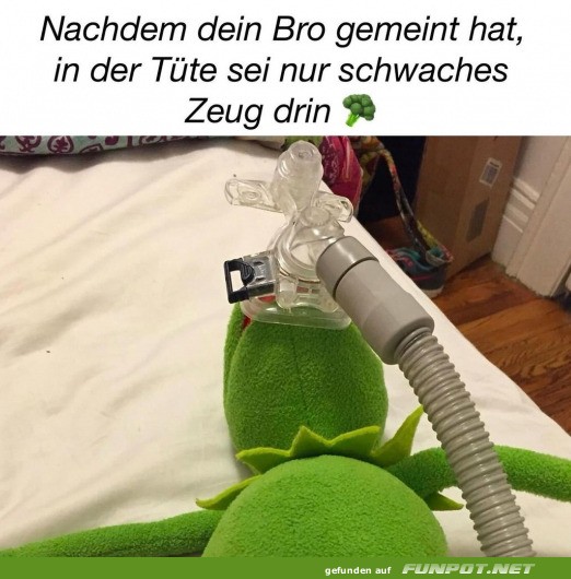 witzige Bilder aus verschiedenen Blogs