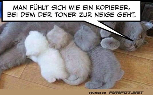 Toner geht zur Neige