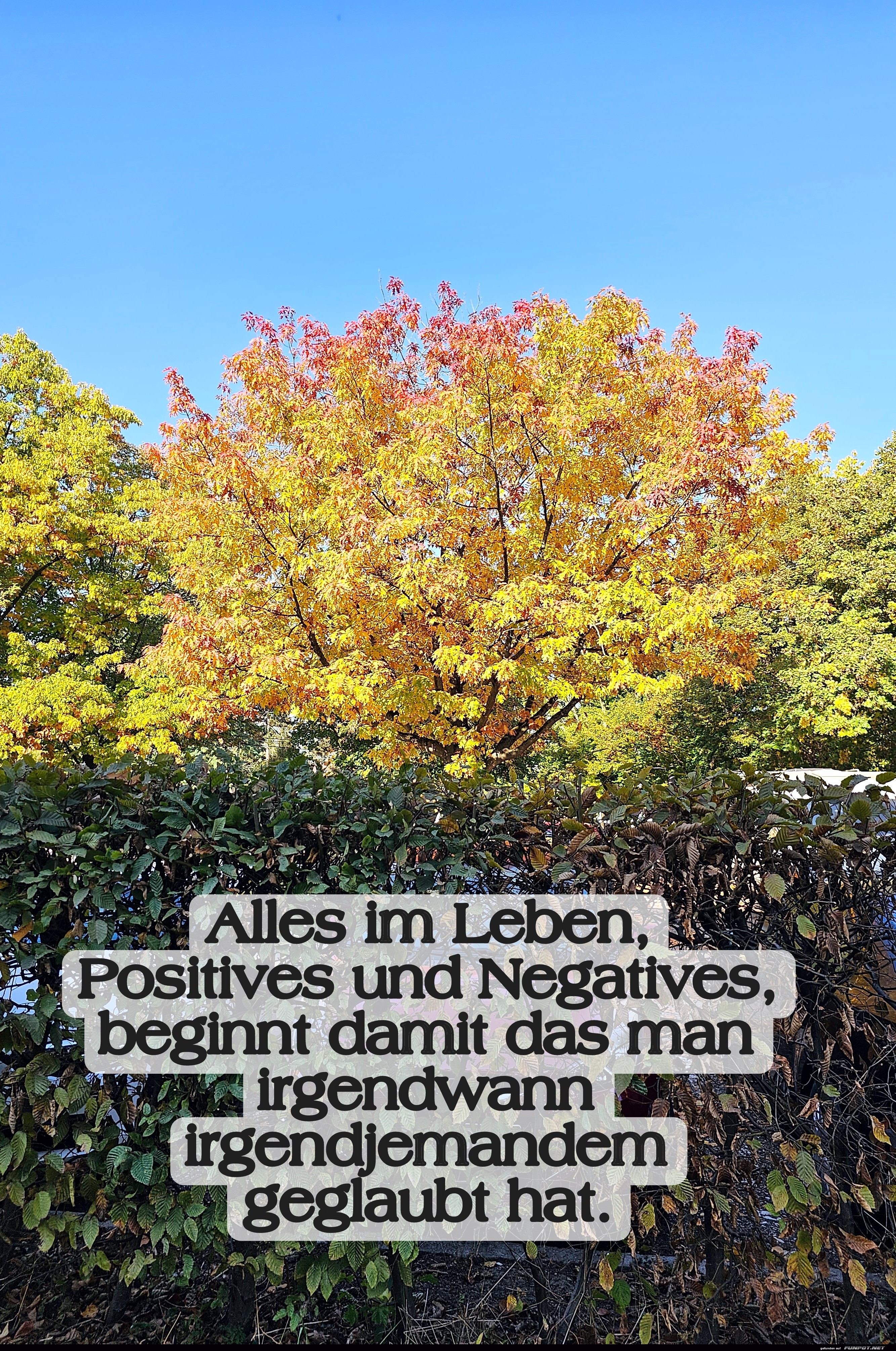 Alles im Leben